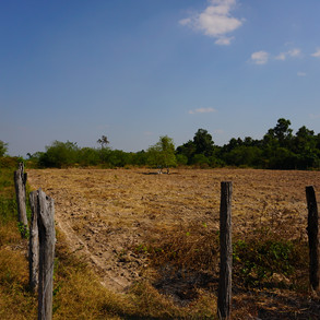img_6940.jpeg