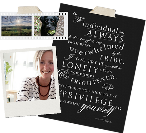 Moodboard style graphics with picture of Pie