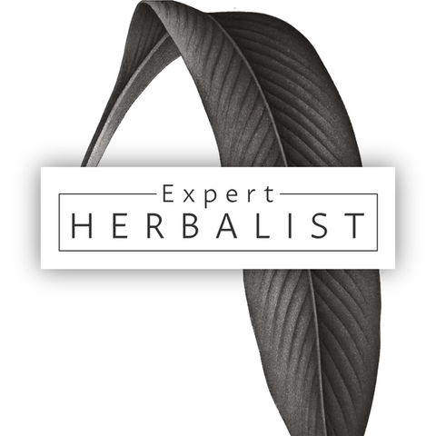 Expert Herbalist's logo in black on a white background, over a greyscale herb leaf drawing created by Design by Pie, Freelance Graphic Designer, North Devon