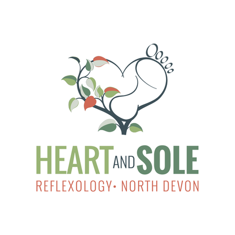 Heart and Sole logo design created by Design by Pie, Graphic Designer North Devon.