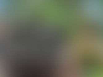 Soldati Africa camion civili guerra