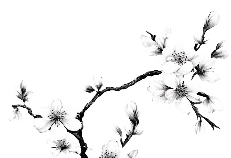 04 Cherry Blossom_edited_edited_edited_edited_edited_edited_edited_edited_edited.png