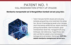 Hak-Paten1-SOP100.jpeg