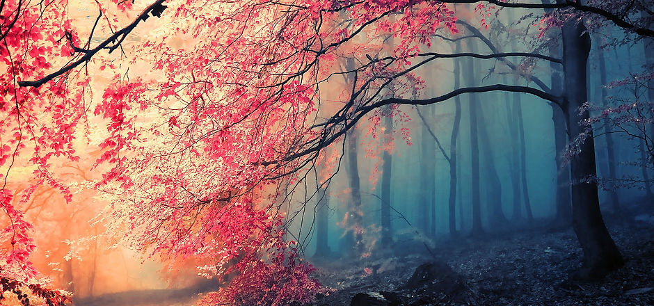 wallpaperflare.com_wallpaper (37).jpg