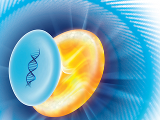 You can and do choose how your Cells transform.