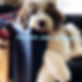 17972001772768211.webp