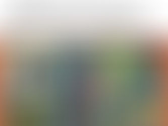 5/2/2025 Meet Award-winning Artist, Jennifer Hauser, at Sweetwaters Coffee & Tea in Naperville, IL from 6-8 PM