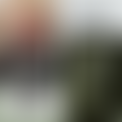 5/13/2026 Bloomingdale Artists Association Presents "Dry Brush" Watercolor Demonstration by Suzanne Wegener at 6:30 PM