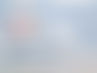 2/12/2026 Lakes Region Watercolor Guild Meeting's Demo Artist Features Judith Joseph this Month