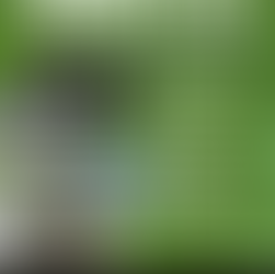 May 1-3, 2026 SPRING SALE at the ClaySpace Ceramic Arts Center in Lisle, IL