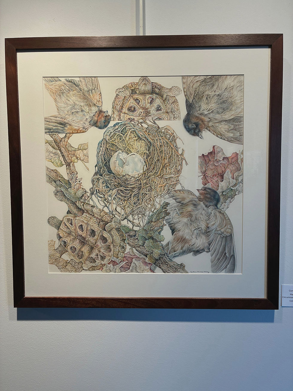 "Vicinity 2025" at Norris Gallery in St. Charles, IL Boasts 70 Outstanding Art Pieces and 9 Amazing Award Winners -- Check them out here first! 