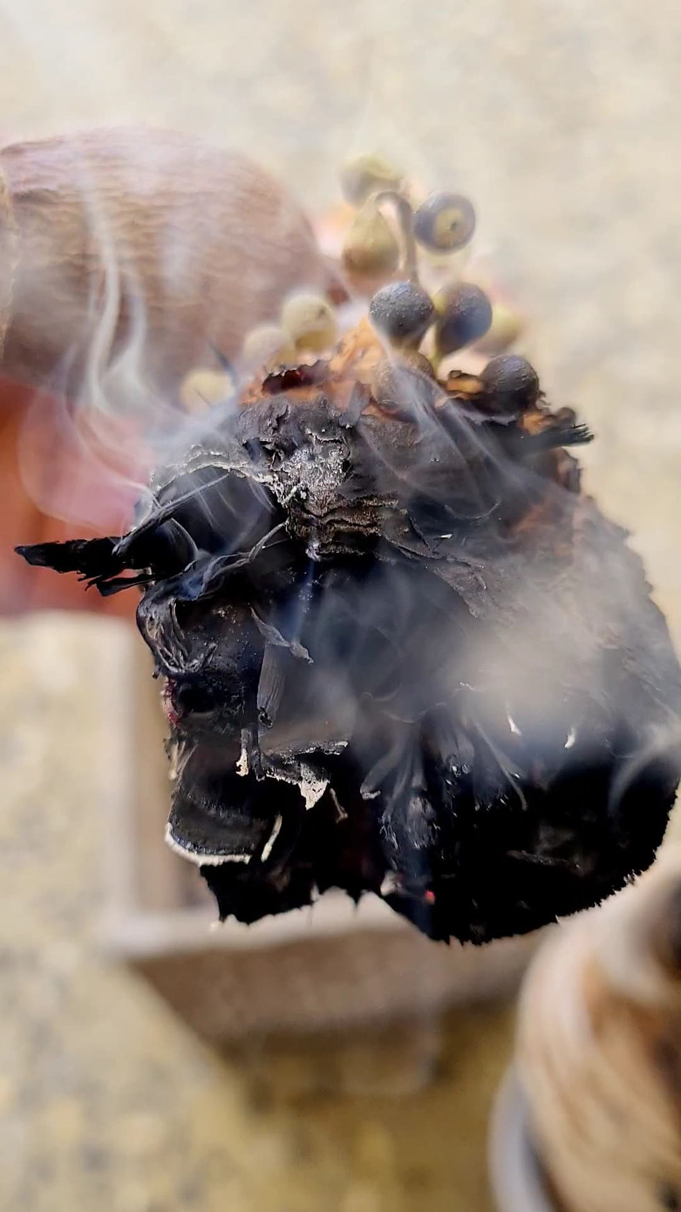 Thumbnail: Kimberley Smudge Sticks - For Self Cleansing