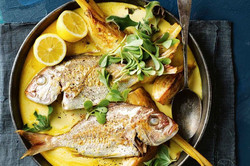 Snapper with native spiced broth and braised fennel_