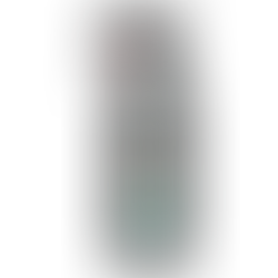 RAIN SHIELD