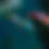 Thumbnail: Paragliding Training Tour - 12 Day Package