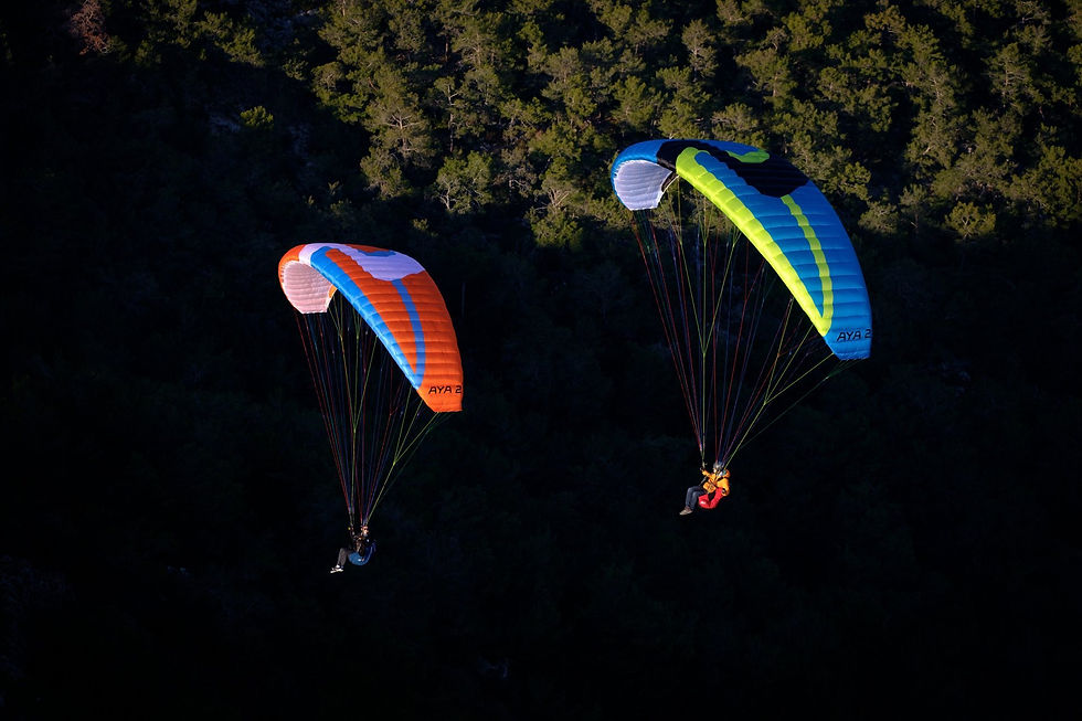 Thumbnail: Aya 2 Paraglider Cape Town