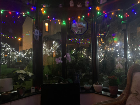 In Celebration of the Light Emitting Diode