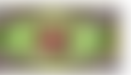 Ask a Master Gardener: How Do You Make a Rain Garden?