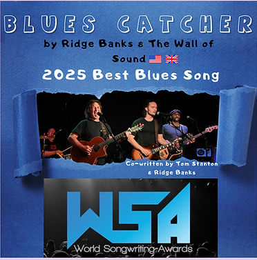 WSA Award BC.jpg