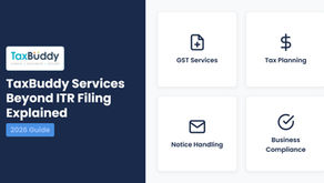 What Services Are Provided by TaxBuddy Beyond ITR Filing?