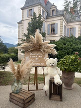 IMG_9887 (1).jpeg
