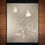 Thumbnail: Vine and Butterflies Original Lumen Print alt photography