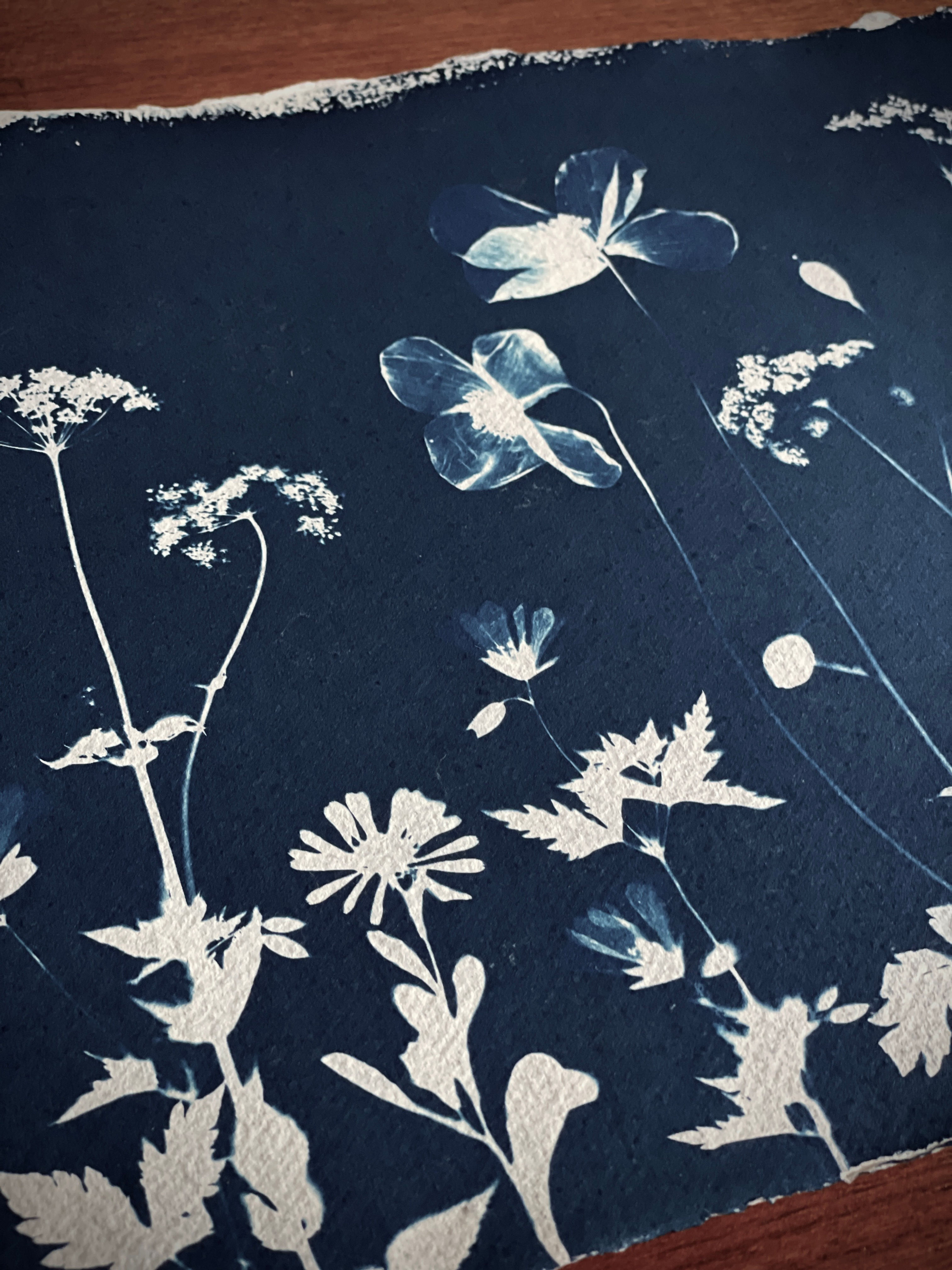 Original cyanotype print inspired by Ambleside in the Lake District