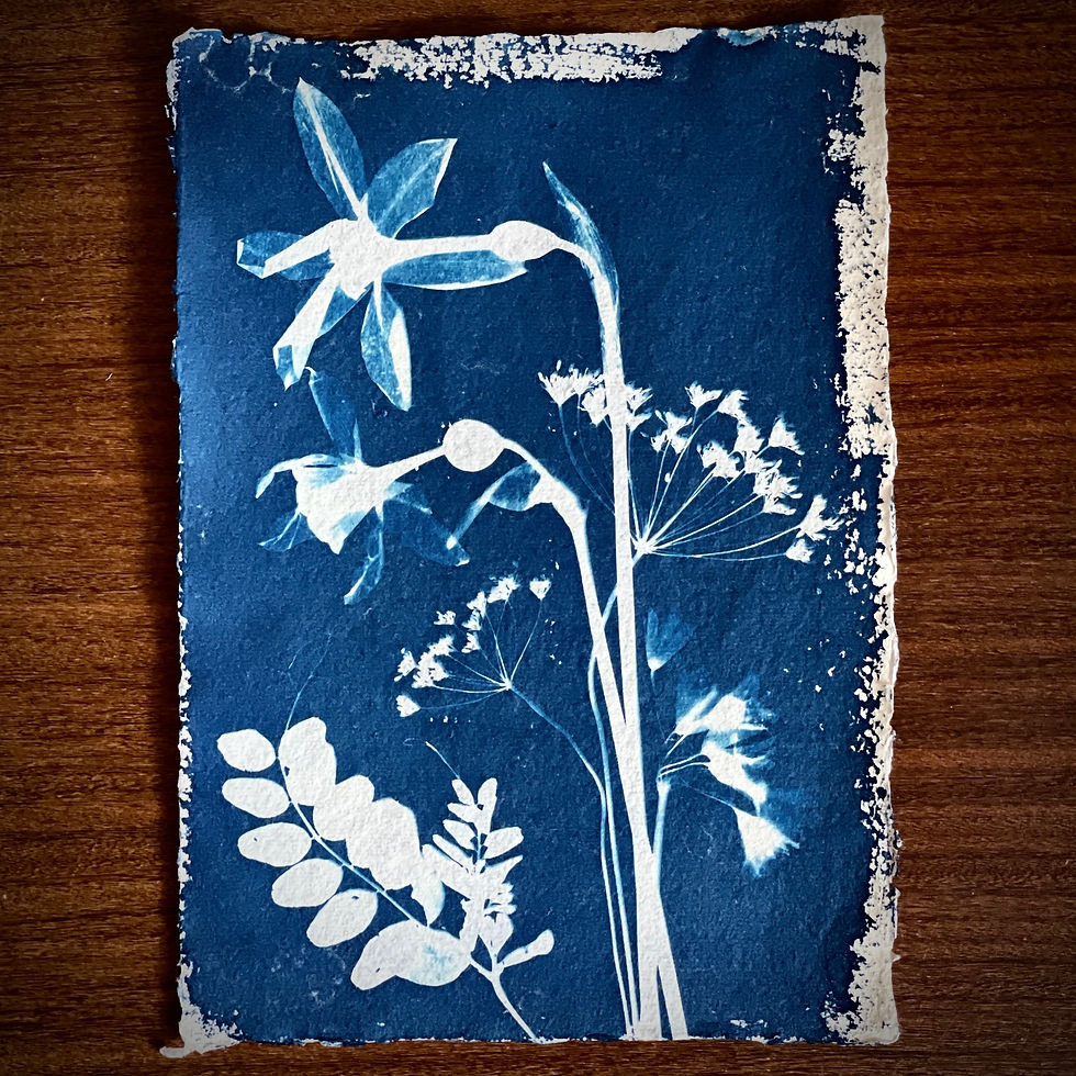 Lune Valley original cyanotype print by Lancashire artist Lisa Howard