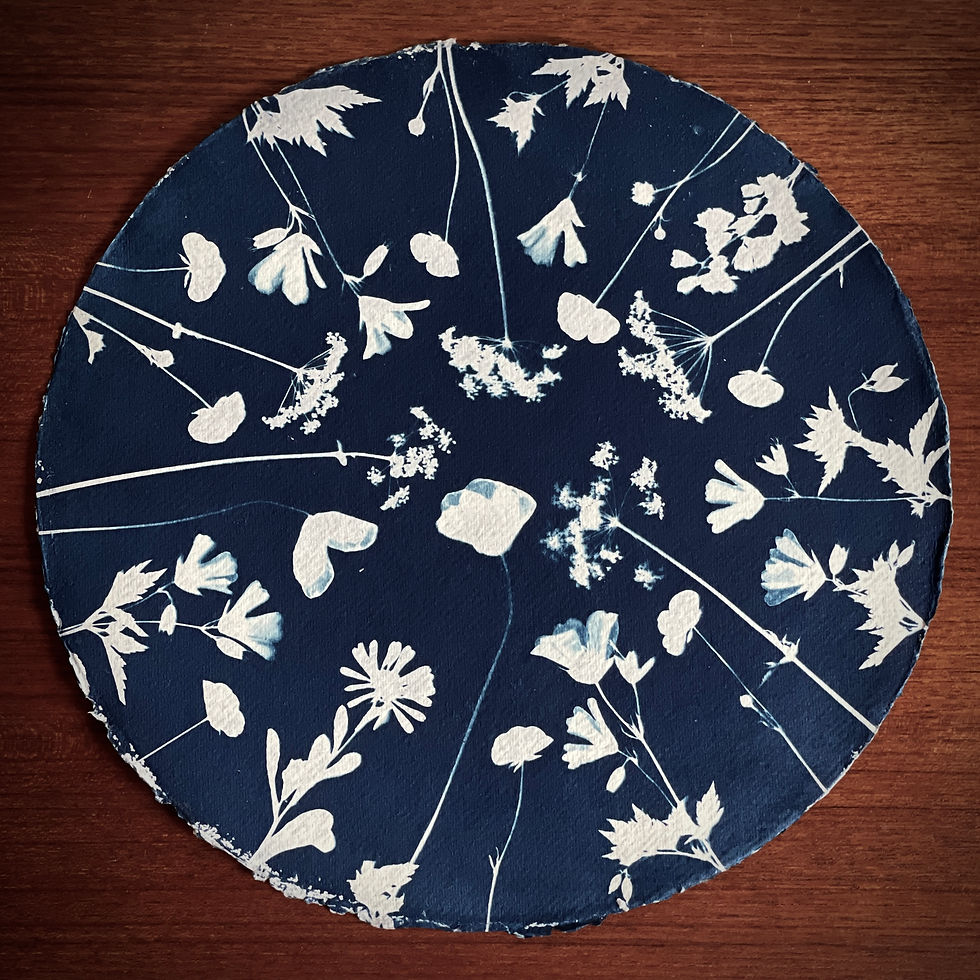 Cyanotype print by Lisa Howard inspired by Patterdale Lake District