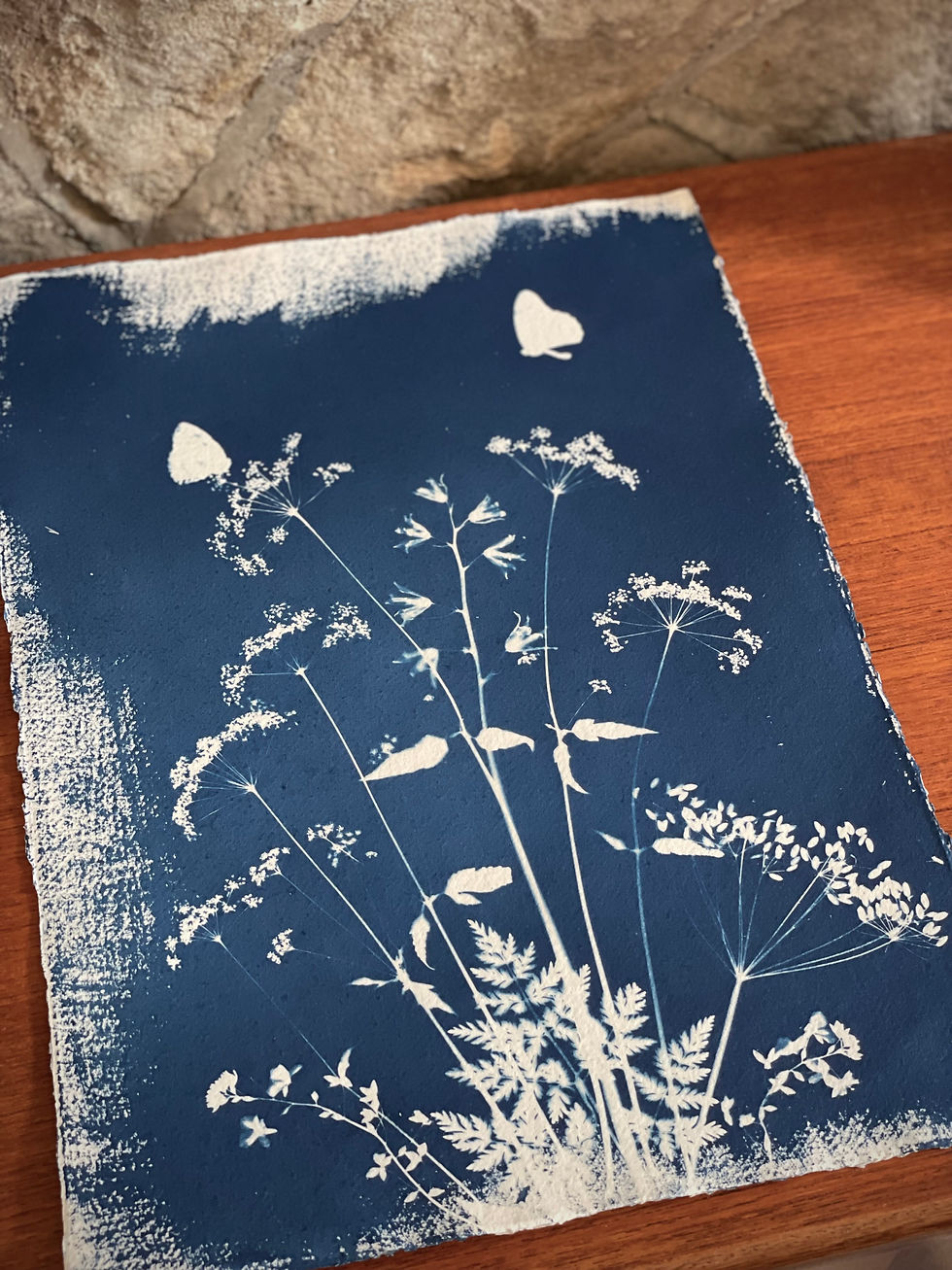 Thumbnail: Indigo Studio original cyanotype print Lancashire butterflies, bluebells and cow parsley meadow print
