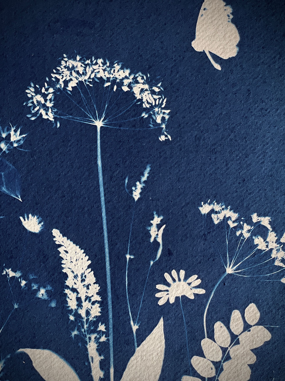 Thumbnail: Original cyanotype print by Lisa Howard inspired by Keswick Lake District