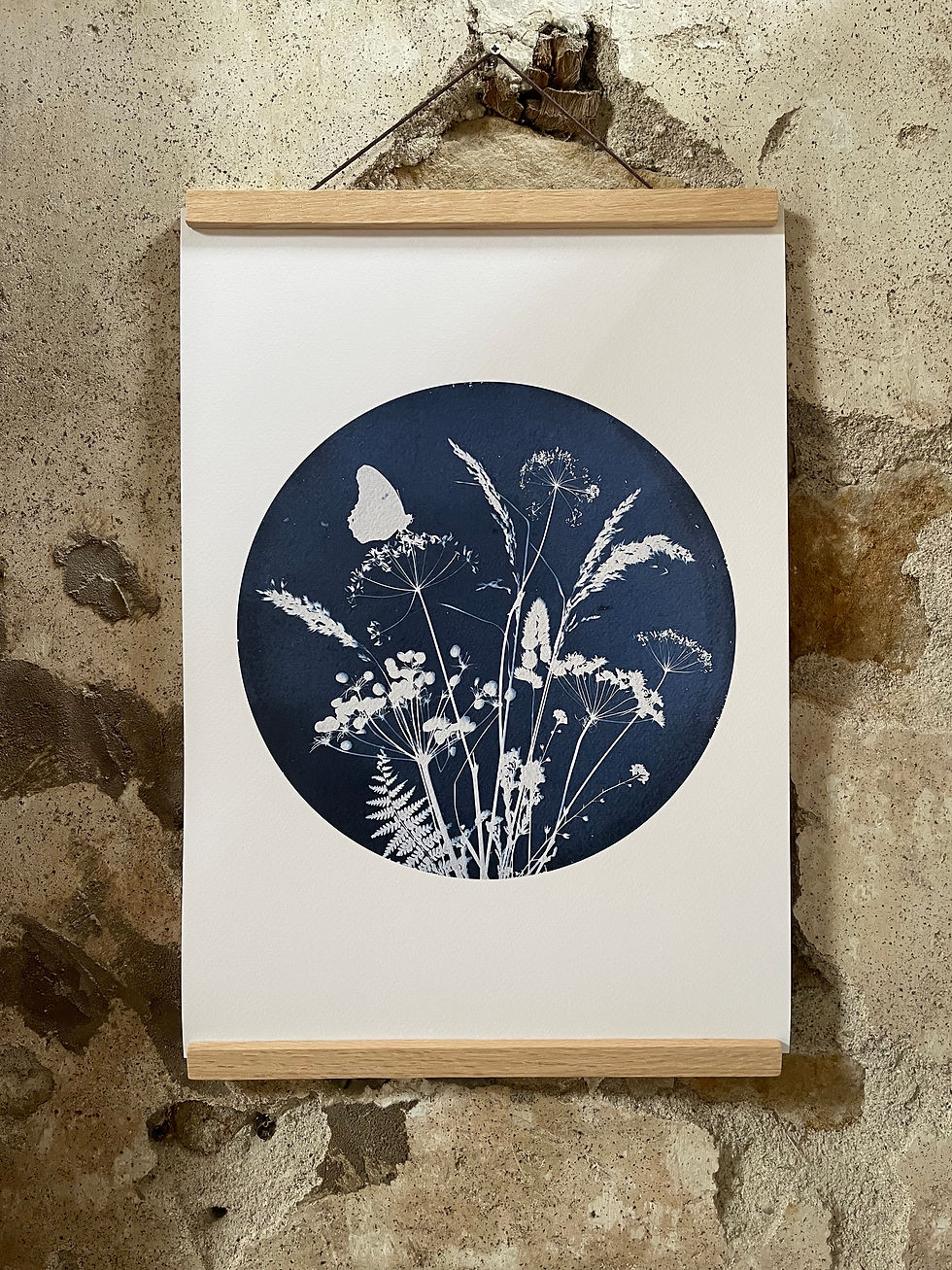 Indigo Studio Lancashire circular composition Butterfly and Meadow Edition Print by artist Lisa Howard