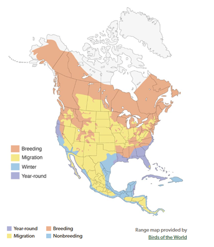 Osprey Range Map