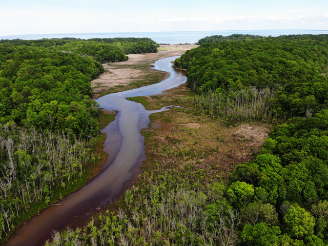 Drone photo of tidal Parker's Creek and marsh by Nathan Bowen (May 2020).