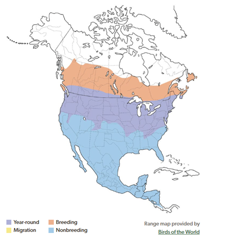 CEDAR WAXWING RANGE MAP