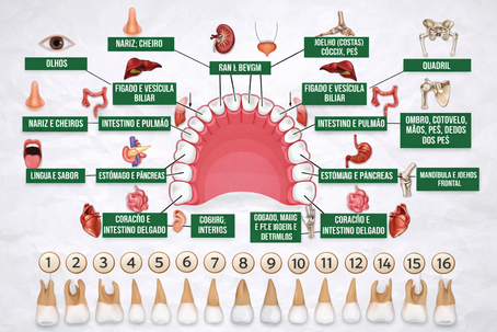 odontologia integrativa hs odontologia