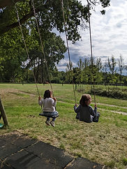 balancoires 1.jpg