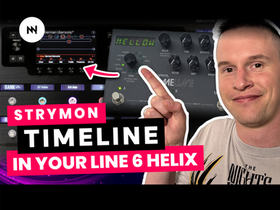 Strymon Timeline Vibes Inside the Helix?