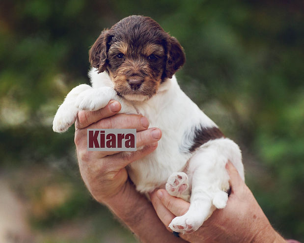 Stella_4wks-8.jpg