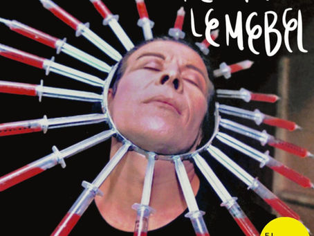 Los vivires de Pedro Lemebel