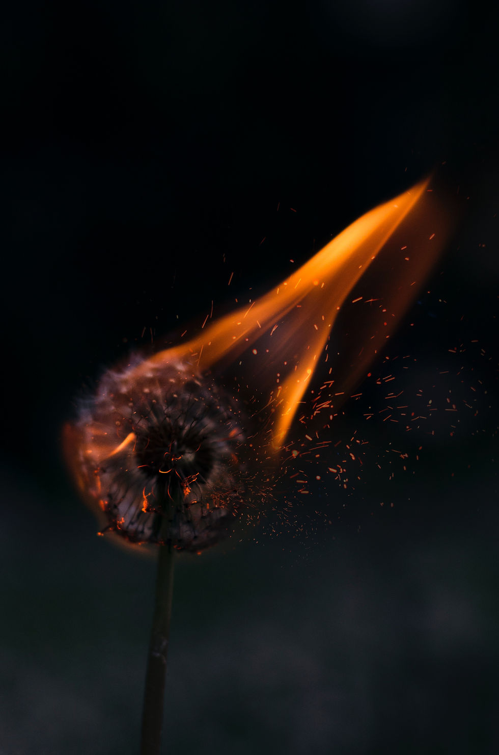 Photo by Henry Be on Unsplash