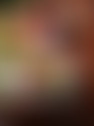 The Albion's Steak & Ale Pie Recipe