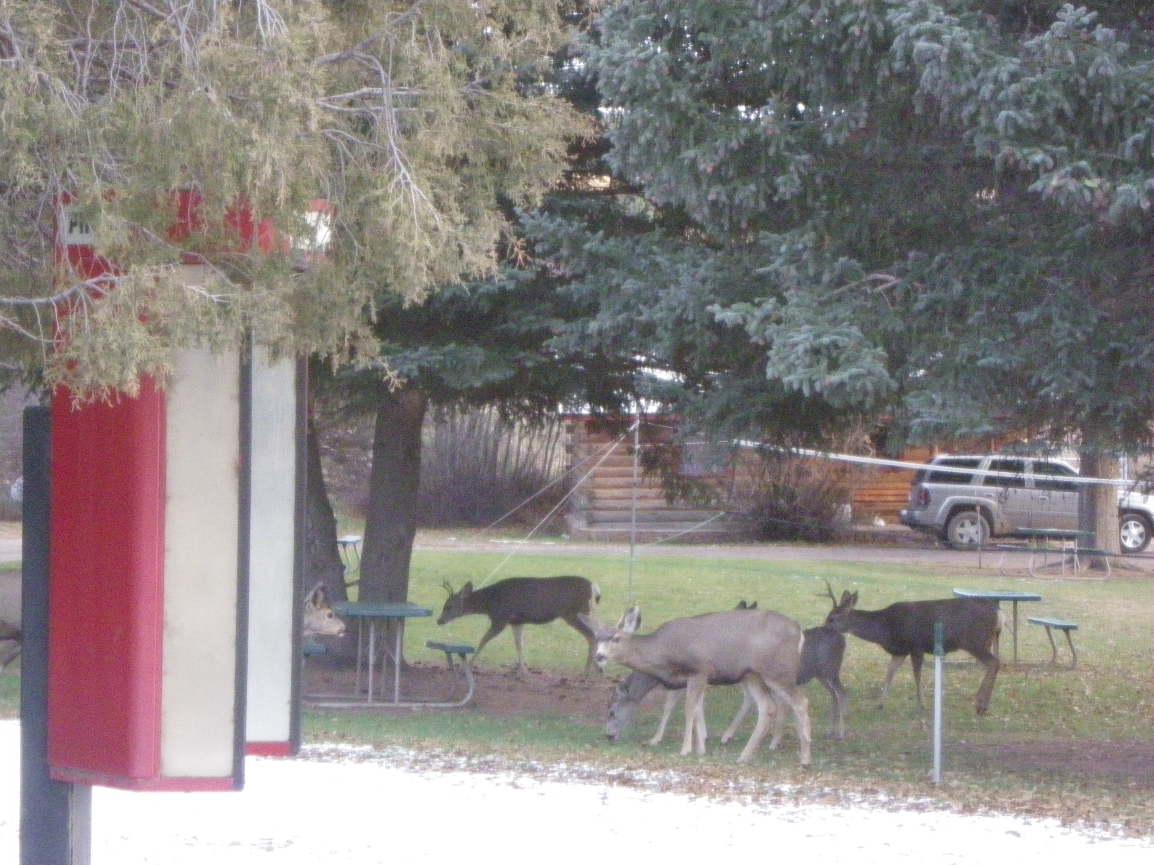 Cooper's El Vado Ranch