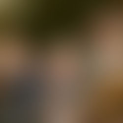 Frans Hals et le siècle d'or hollandais à la Fondation Custodia