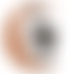 Collection Weisman & Michel : Le Montmartre Fin de Siècle et Belle Epoque.