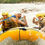 Thumbnail: WHITE WATER RAFTING ADVENTURE TOUR