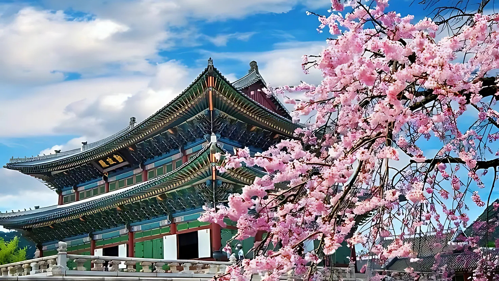 Thumbnail: SEOUL SEARCHING