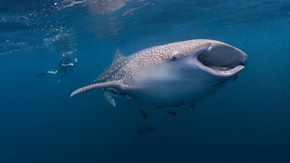 Thumbnail: CEBU 4-IN-1 ADVENTURE: OCEAN THRILLS TO MOUNTAIN VIEWS