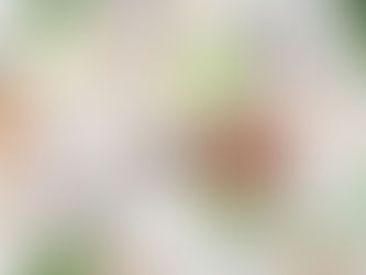 Top 5 Scientific Reasons to Use Natural Ingredients in Cosmetics