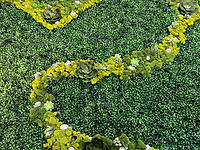 Glossy green leaves and succulent plants with moss.